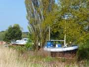 Boote im Schilf: Niemeyer-Holstein-Gedenkatelier in Ltten Ort.