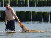 Wem gehrt das Frisbee: Mit dem Hund in die Ostsee.