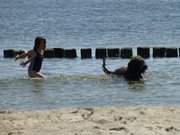 Anbaden fr Kind und Hund: Ostseestrand am Streckelsberg.