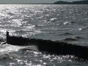 Blick auf das Stettiner Haff: Buhne am Strand von Kamminke.