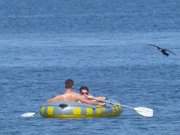 Abkhlung auf dem Wasser: Schlauchboot und Kormoran.