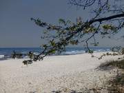 Weie Blten, blaues Meer: Der Ostseestrand von ckeritz.