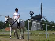 Hollnderwindmhle von Benz: Reitturnier auf Usedom.