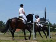 Reitsport auf der Insel Usedom: Reitturnier in Benz.