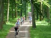 Zwischen Zinnowitz und Zempin: Kstenradweg der Insel Usedom.