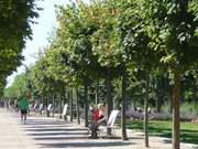 Urlaub auf Usedom: Strandpromenade des Kaiserbades Ahlbeck.