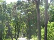 Kstenradweg der Insel Usedom: Zur Strandpromenade Karlshagen.