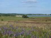 Loddiner Hft: Blick herab zum Achterwasser und nach ckeritz.