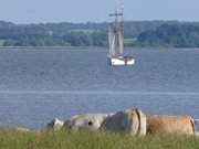 Segelschiff "Weie Dne": Achterwasser am Loddiner Hft.