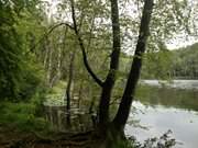 Nahe am Zerninmoor: Der See "Schwarzes Herz".