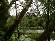 "Schwarzes Herz": Naturerlebnis im Usedomer Hinterland.