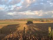 Blick zur Melle: Lange Schatten auf dem Loddiner Hft.