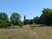 Weideland im Westen der Greifswalder Oie: Leuchtturm im Norden.