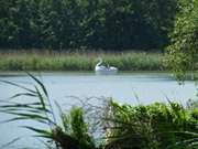 Tretboot auf dem Klpinsee: Urlaubstag auf Usedom.