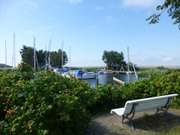 Blick auf den Achterwasserhafen: Bank am Sportboothafen.