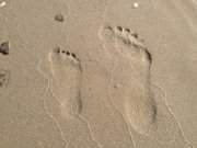 Gro und klein: Fuabdrcke im Strandsand von Klpinsee.