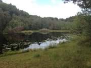 Naturpark Insel Usedom: Mmmelkensee bei Bansin.