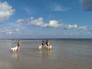 Urlaub mit Hund: Ostsee am Seebad Karlshagen.