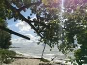 Zwischen Kamminke und Garz: Strand am Oderhaff.