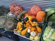 Herbstliche Impressionen: Gemse auf dem Bauernmarkt von Swinemnde.