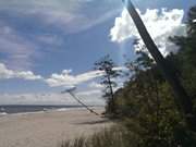 Steilkste von Stubbenfelde: Urlaub auf der Insel Usedom.