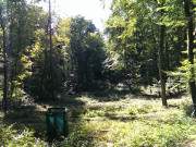 Wlder auf Usedom: Die Mellenthiner Heide im Hinterland.