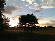 Wiesenland auf dem Loddiner Hft: Abend am Achterwasser.