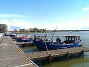 Fischerboote im Hafen: Kamminke am Stettiner Haff.