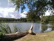 Am Klpinsee, Namensgeber des Ortsteiles von Loddin.