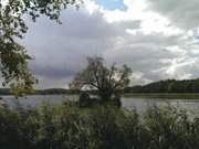 Weide auf der Schwaneninsel: Insel im Klpinsee.