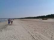 Zwischen Ahlbeck und Swinemnde: Ostseestrand von Usedom.