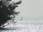 Wassersport auf dem Achterwasser: Segelboot nahe dem Gnitz.