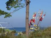 Bernsteinbad Zempin: Fischereigert an der Strandpromenade.