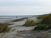 Niedrigwasser der Ostsee: Strandwanderer am Peenemnder Haken.