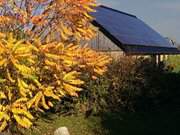 Leuchtende Farben des Herbstes: Bauernhof in Grssow.