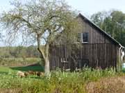 Bauerngarten: Kachlin im Hinterland der Insel Usedom.