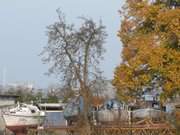 Schlossinsel im Peenestrom: Kleines Bootswerft in Wolgast.