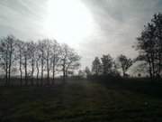 Weite Landschaft im Osten Usedom: Das Zerninmoor.