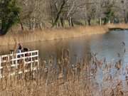 Seebad Loddin auf Usedom: Urlaubsgste auf dem Steg im Klpinsee.