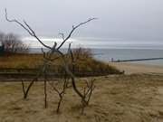 Regnerischer Dezember: Am Ostseestrand von Koserow auf Usedom.