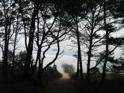 Dunkle Wolken ber Usedom: Strandzugang bei Zinnowitz.