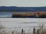 Fischerboot im Schilf: Die Melle nahe des Seebades Loddin.