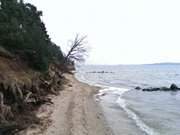 Strand am Peenestrom: Am Weien Berg auf Usedom.