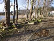 Baumfllarbeiten am Klpinsee: Bau der neuen Strandpromenade.