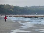 Wanderung am Ostseestrand: Neue Buhnen bei Zempin.