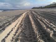 Fahrspuren im Strandsand: Buhnentransportweg nach Zempin.