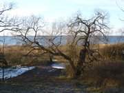 Seebad Loddin: Winterimpression am Achterwasser.