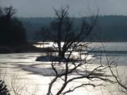 "Schwaneninsel": Winterwanderung am Klpinsee.