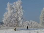 Am Achterwasser nahe ckeritz: Wanderer in Winterlandschaft.