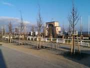 Promenadeplatz: Ostseebad Bansin auf der Insel Usedom.